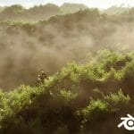 Create a Realistic Forest in 30 Minutes | Blender 2.8 Tutorial