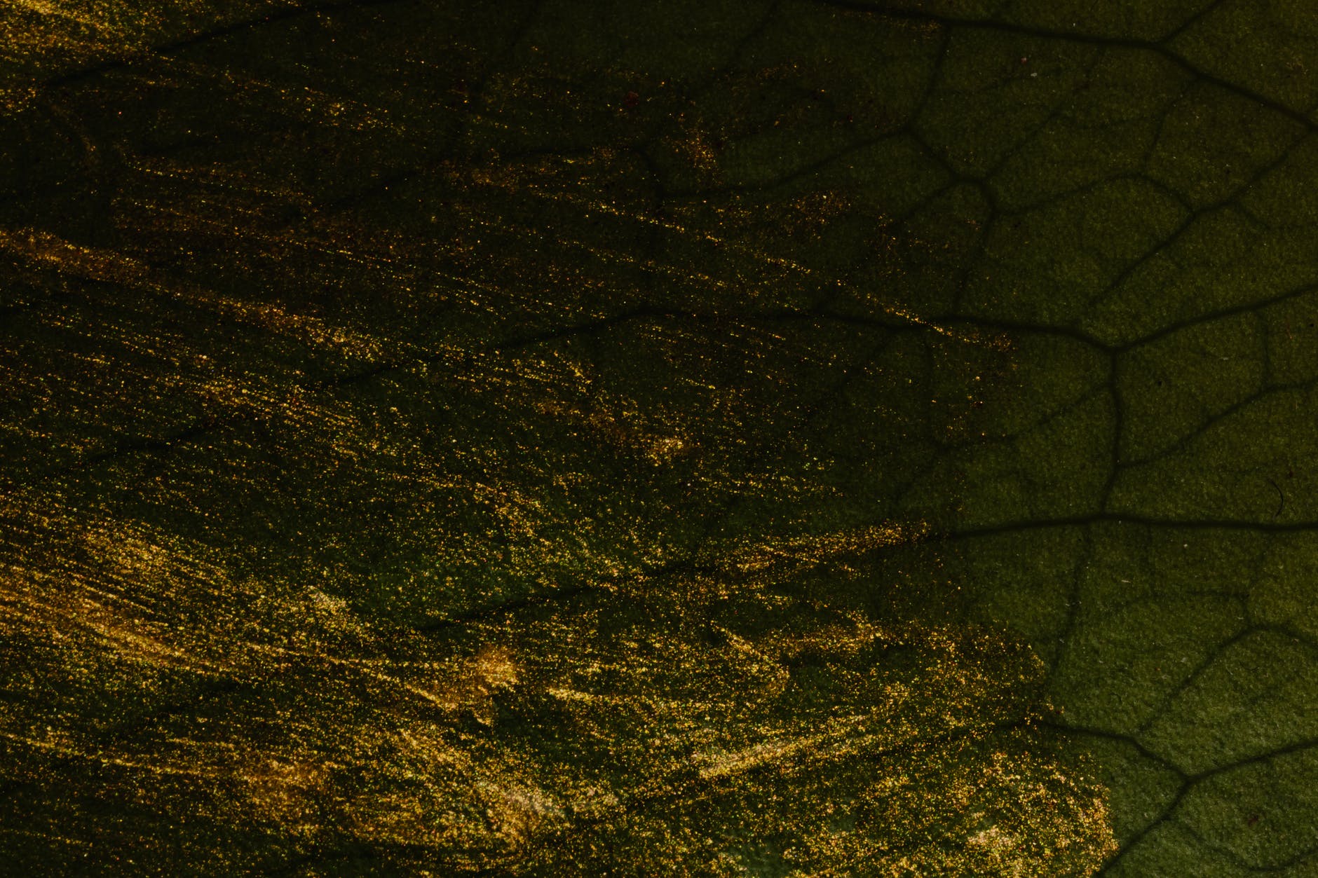 green rock with gold glitters